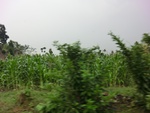 31702CIMG1570.JPG
