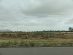 35963DSC02733.JPG