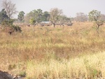 26640DSC00471.JPG