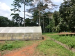 46450CIMG0739.JPG