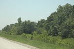 2024-06-17_22-04-45_13FD97EC-A03D-4964-BD80-142F81113DED.jpeg