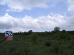 1192352-croplant-chena-abandant-1yr-b.gif