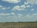 36008DSC02279.JPG