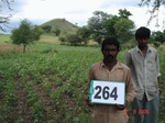 129460264a-rainfed-agriculture-mixedcrop-cotton-dominant-maize.gif