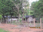 31905IMG_5326.JPG