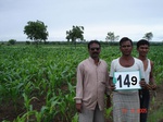 69150149a-irrigated-supplemental-groundwater-maize-dominant-vegetables-tomato-ladiesfinger-chilli-sugarcane.jpg