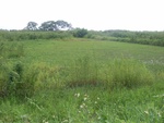 33622RIMG0287.JPG