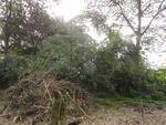 46637DSC01970.JPG