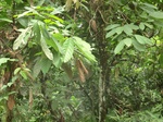 48759CIMG5096.JPG