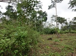 45999CIMG0288.JPG