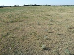 39172BREC20110829S.JPG