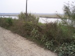 2569 145.jpg