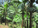 32121IMG_0100.JPG