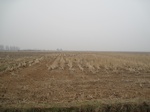 8537IMG_0363.JPG