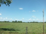5744100_1329.JPG