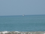 15433IMG_4307.JPG