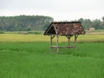30971CIMG0832.JPG