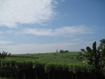 13955IMG_4246.JPG