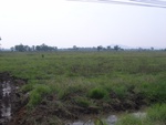 28184RIMG0173.JPG