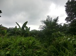 45557CIMG2642.JPG