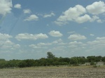 36009DSC02280.JPG