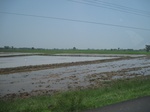 34525IMG_5508.JPG