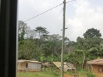 49776CIMG6113.JPG