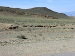 38730CIMG0269.JPG