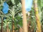 50814CIMG1443.JPG