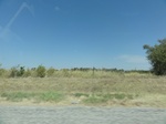 34969DSC01871.JPG