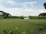 22145DSC00388.JPG