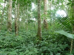 20023P1010873.JPG