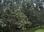 14069IMG_4396.JPG