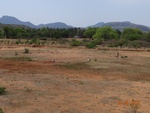 51913Tank ID 1800174 S.M. Gollahalli 1.JPG