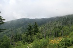 57863IMG_9490.JPG
