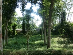 31246CIMG1108.JPG