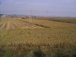 3234R0017268.JPG