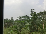 49770CIMG6107.JPG