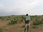 7982gt97a_rangeland.jpg