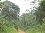 48378CIMG4715.JPG
