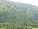 34750CIMG2578.JPG