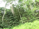 47600CIMG3937.JPG