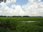 24565DSC00770.JPG