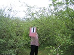 1039101-shrubland-2.5ma.gif