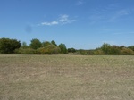 39277P1080104.JPG