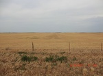 29807CIMG1196.JPG