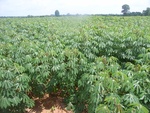 26227RIMG0194.JPG
