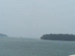 1714219042008(57).JPG