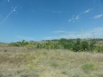 34911DSC01813.JPG