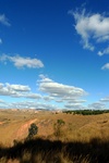 28513P1010525-1.JPG
